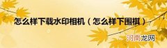 怎么样下围棋 怎么样下载水印相机