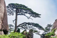 安徽省4所野鸡大学名单 安徽最差的二本学院