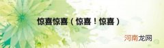 惊喜！惊喜 惊喜惊喜