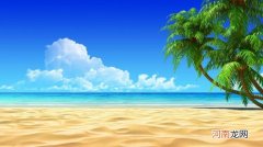 棕榈树修剪有哪些技巧