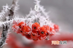 霜降是在什么时候开始的2022