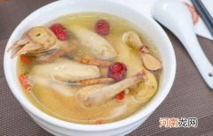 奶妈喝的鸽子汤怎么做