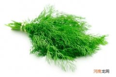 小茴香怎么种植