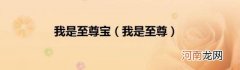 我是至尊 我是至尊宝
