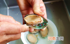 活的鲍鱼怎么处理干净