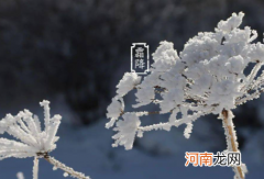 今年霜降是哪天2022