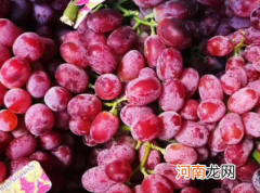 常温下提子封闭好还是开口好