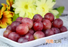 提子掉色正常吗