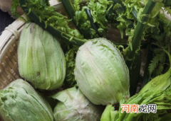 大头菜秋天能种植吗