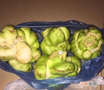 醋芥菜头的腌制方法及步骤