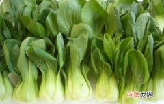 立春后土地可以种植什么蔬菜
