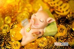 致富项目 有什么赚钱的好项目推荐？