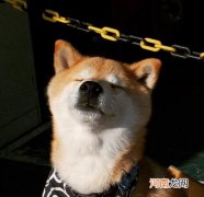 运算符号 数学运算符号括号是不是运算符号