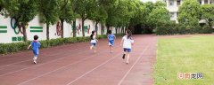 小学学籍怎么查 怎么查小学学籍