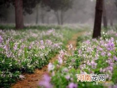 唐砖豆瓣 怎样挑选一支好用的毛笔？