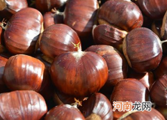 板栗发芽可不可以食用