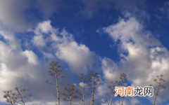 12月份武汉的天气冷吗