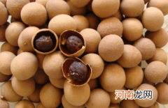 一天吃几颗龙眼干不会上火