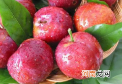 李子什么时候修剪枝条最合适