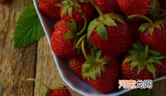 甜宝草莓苗如何管理