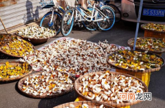 5年以上的陈皮多少钱一斤2021