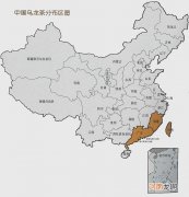 什么是乌龙茶，乌龙茶的主要产区在哪里？