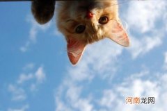 微信加人验证消息的句子 微信怎么打招呼