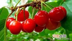 男人的三件宝是指什么 男人三宝是指哪三宝