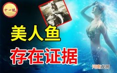 美人鱼存在的证据与案例 美人鱼真的存在吗