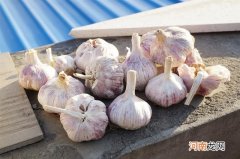 大蒜保鲜储存方法 大蒜怎么保存不发芽
