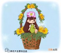 十二月分别代表什么花，杏月的月份是几月？