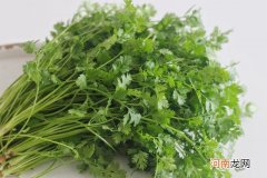 新鲜香菜保存小技巧 香菜怎么保存