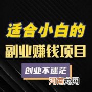 学生兼职创业 大学生兼职创业项目
