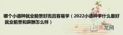 2022小语种学什么最好就业前景和薪酬怎么样 哪个小语种就业前景好而且容易学