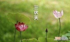 2021年入伏时间表 2021年几月份入伏