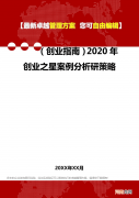 创业策略 创业策略对比