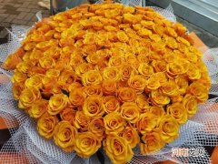199朵玫瑰花代表什么意思，花语是什么？
