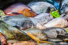 5种味道鲜美的野生海鱼 红杉鱼是什么鱼