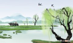 清明节的习俗有哪些，有哪些禁忌？