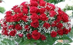 男生送11朵玫瑰用意 11朵玫瑰代表什么