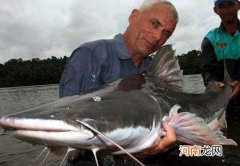 世界十大凶猛淡水鱼排名 最凶猛的淡水鱼是什么鱼