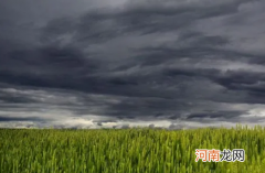 为什么有乌云时容易下雨，乌云是怎么形成的？