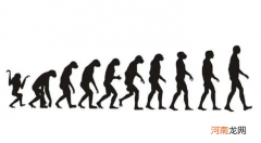 为什么人没有尾巴，人类原来有尾巴吗？