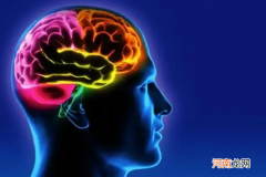 影响智商高低的因素 脑袋越大越聪明吗