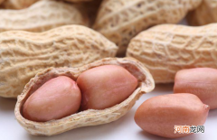 花生的生长特点分析 花生为什么地上开花地下结果