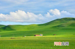 草原没有树的原因 为什么草原只有草没有树