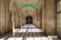 网络热词凡尔赛文学释义 凡尔赛是什么意思