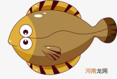 动物百科知识科普 为什么比目鱼的眼睛在同一侧