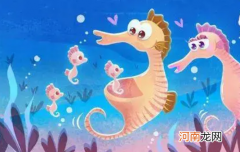 海马是海马爸爸生的吗，海马的育儿袋有什么作用？