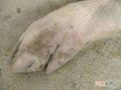 创业求助 创业求助信怎么写